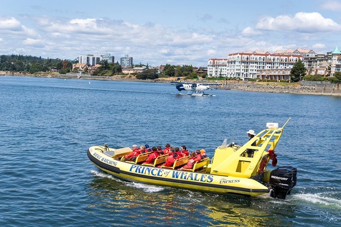 Zodiac Whale Watching Adventure From Victoria - Safety and Comfort Measures