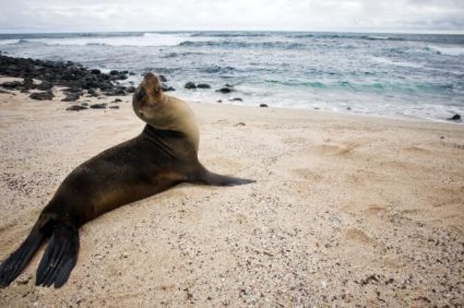 4-Day Galapagos Islands Cruise: Itinerary C (South) Aboard the Monserrat Yacht - Key Points