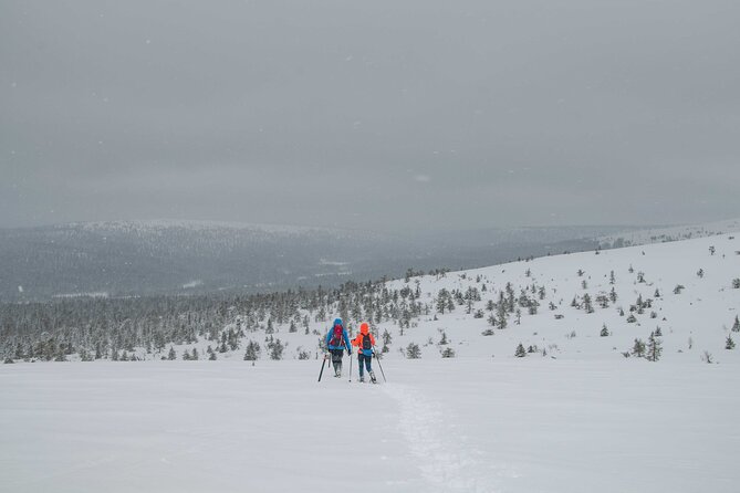 4-Day Small-Group Snowshoe Trek From Rovaniemi - Key Points