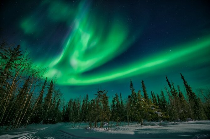 4-Day Yellowknife Aurora Tour - Meeting Point and Logistics