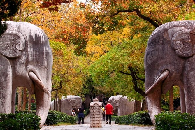 4-Hour Nanjing Private Tour: Xiaoling Tomb, Ming City Wall and Memorial Hall - Key Points