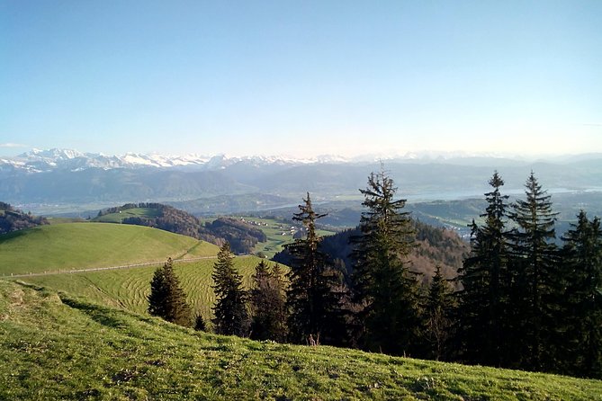 4-Hour Quad Tour Near Zurich - Key Points