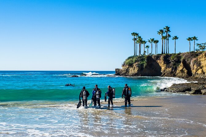 4 Hour Scuba Diving Course in Tayrona Park - Key Points