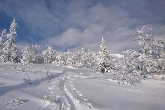 4-Hour Snowshoeing With Outdoor Lunch in Åre, Sweden - Key Points