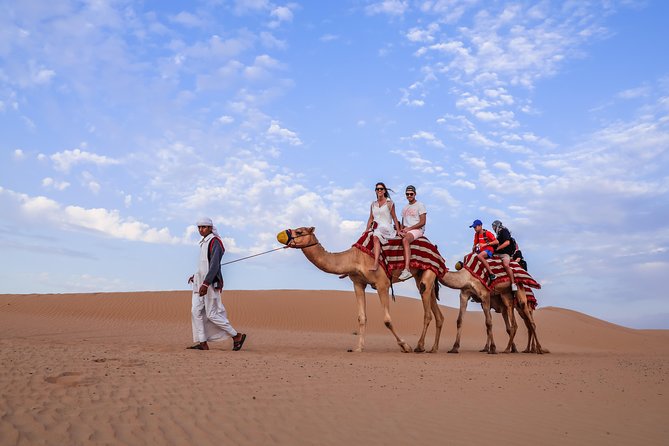 4 Hours Morning Dubai: Red Dune Bashing Safari, Sand Surfing & Camel Ride - Key Points