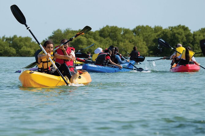4 Hours Purple Island Mangroves Kayaking Adventure in Qatar - Key Points