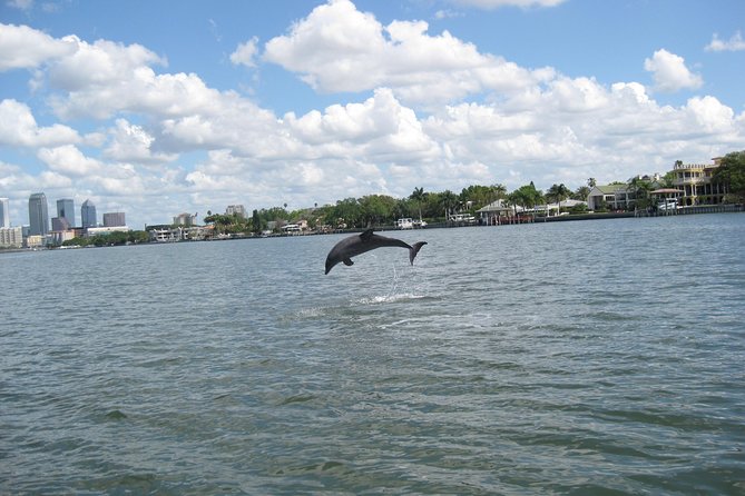 1.5-Hour Dolphin Sightseeing Cruise From Tampa - Safety Measures