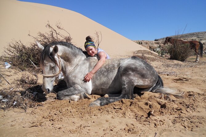 1 Day Horseback Ride With Lunch - Cancellation Policy