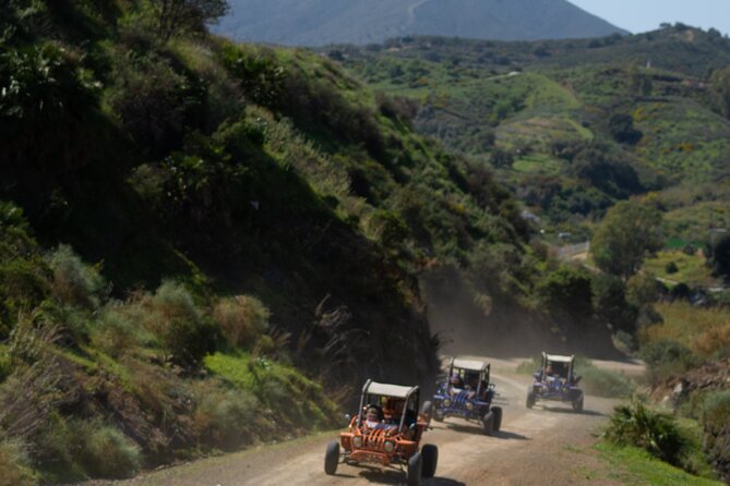 1 Hour Buggy Safari Experience in the Mountains of Mijas With Guide - Common questions
