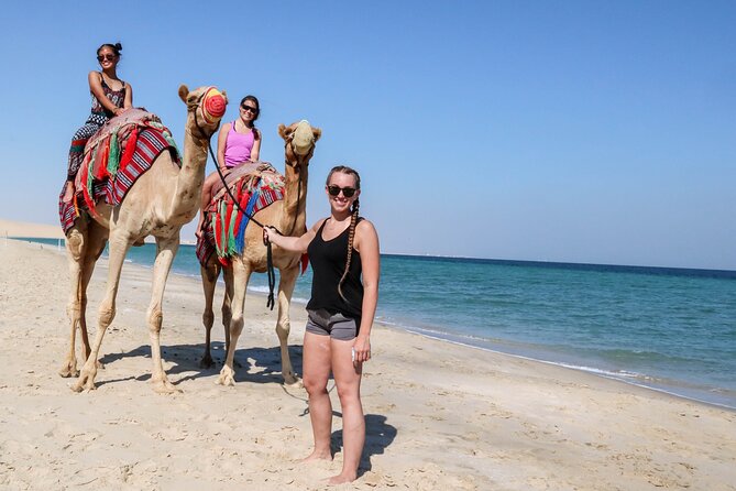 1 Hour Camel Ride Experience in Sealine Beach - Cancellation Policy