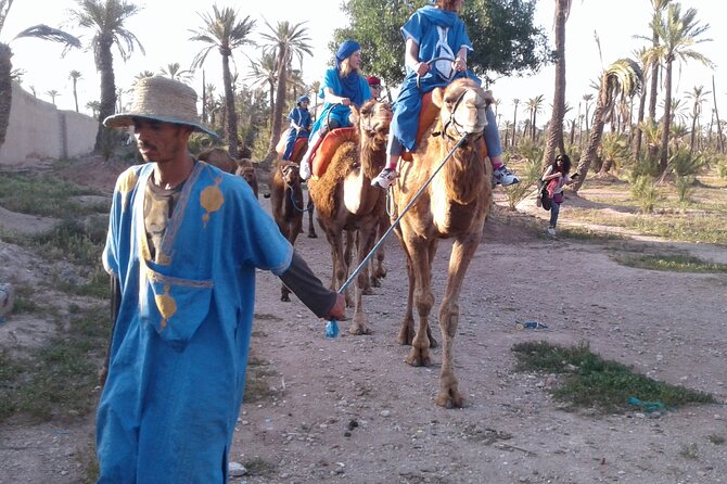 1-Hour Camel Ride in La Palmeraie Marrakech With Hotel Pick up - Last Words