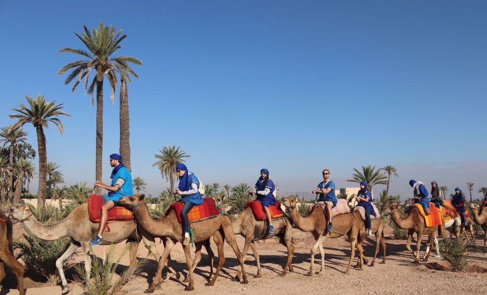 1 Hour Camel Riding in the Palm Grove - Important Reminders