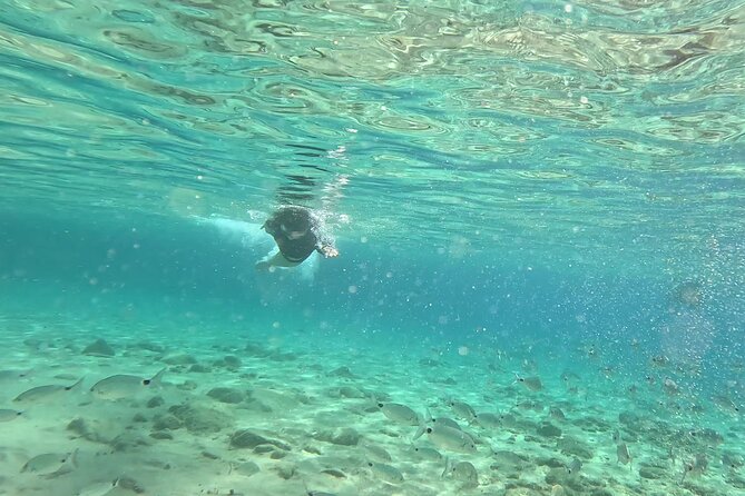 1-Hour Guided Snorkeling Adventure With Go Pro Pictures - Professional Guide