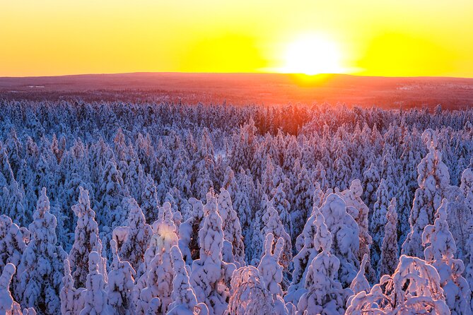 1-Hour Snowmobile Safari Adventure in Rovaniemi - How to Get There