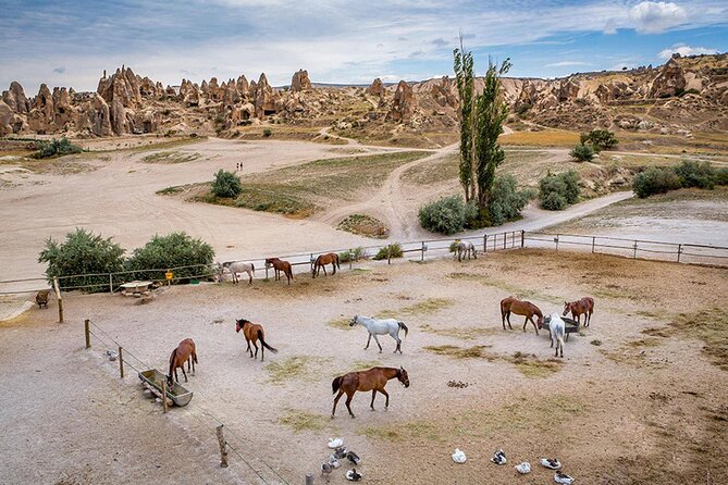 11 Days Turkey and Jordan Tour-Istanbul Cappadocia Jordan Istanbul - Reviews and Ratings