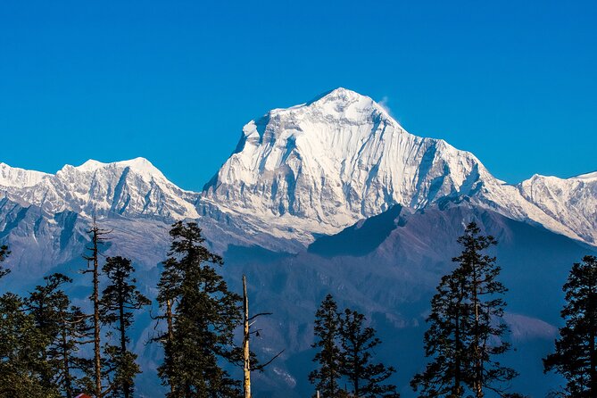 12 Days Trek Tour in Nepal - Booking Information