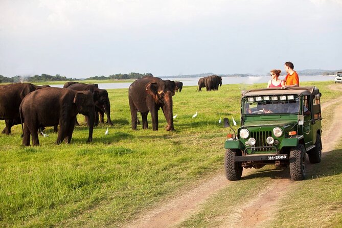 12 Days;Grand Tour of Sri Lanka - Meals and Dining Experience