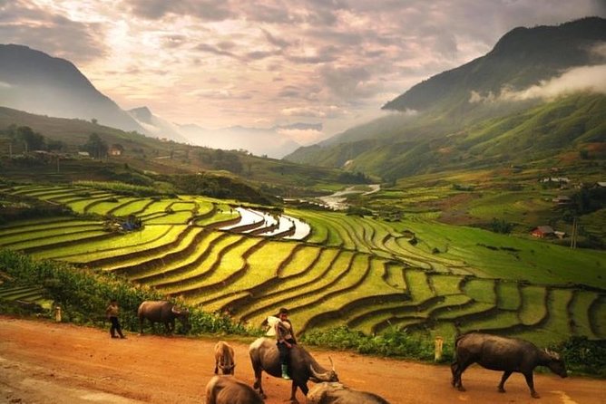 15-Day All-Inclusive Vietnam Highlights Tour  - Hanoi - Cultural Immersion