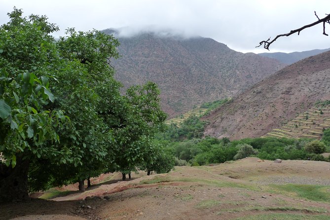 2-Day Atlas Mountain Trekking Tour From Marrakech - Booking Information