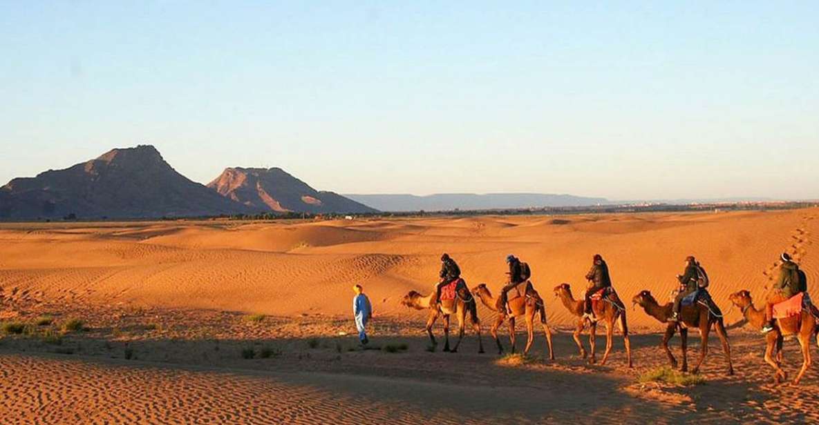 2-Day Marrakech to Zagora Desert & Kasbah Ait Benhaddou Tour - Key Points