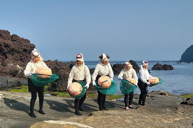 2 Day Private Pictures of Nature Tour in Jeju Island - Reviews and Ratings Insights