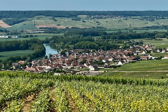 2-Day Private Tour to Champagne & Chablis: Moët Et Chandon Etc, 15 Wines Tasting - Group Rates and Discounts