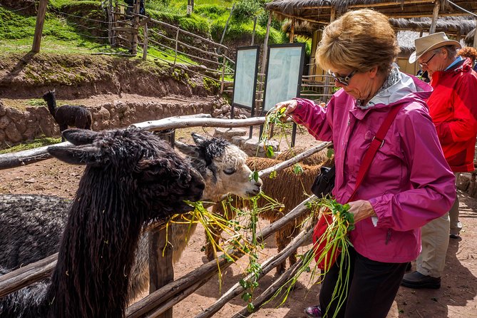 2 Day Tour: Sacred Valley (Awanacancha, Pisaq, Ollantaytambo) and Machu Picchu - Inclusions and Exclusions