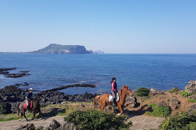 2-Day Tour to Jeju Island by Limousine Taxi - Meal Options and Recommendations