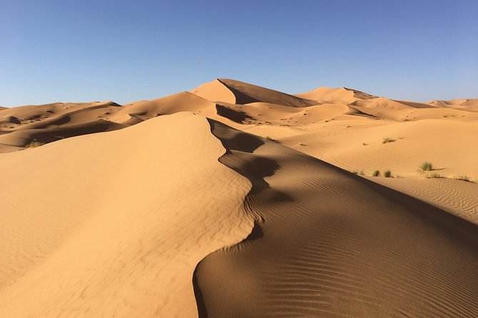 2 Days and 1 Night Luxury Desert Tour From Marrakech to Zagora - Customer Reviews