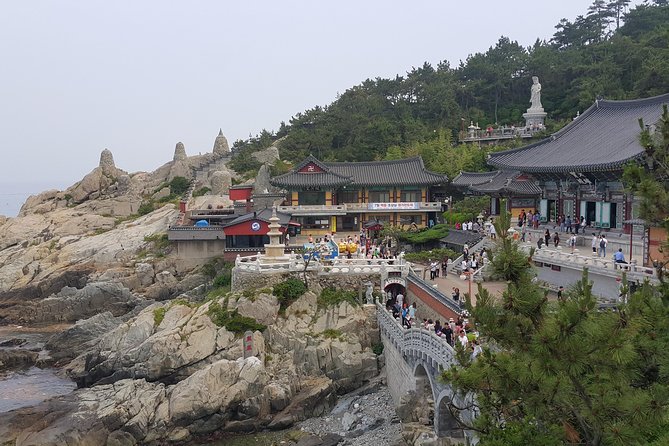 2-Days Busan Customized and Included Night Tour - Cancellation Policy Guidelines