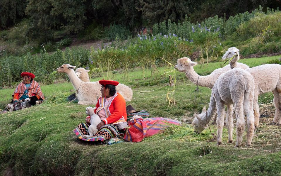 2 Days: City Tour in Cusco and Machupicchu Tour by Train - Inclusions