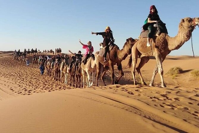 2 Days Luxury Tour to Merzouga Desert From Fez With Small Group - Transportation Logistics