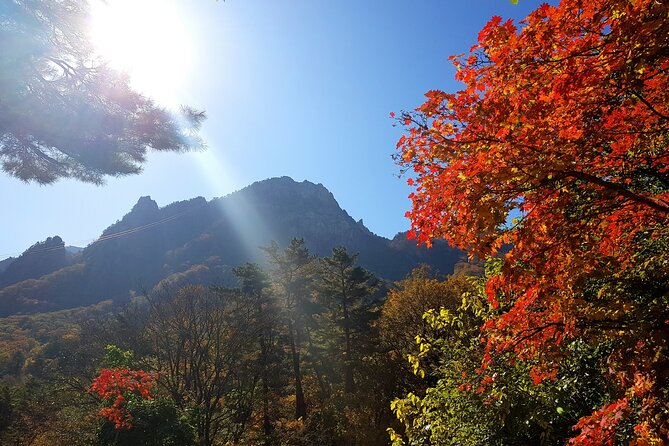 2-days: Mt Seorak, East Sea(Naksansa) & Nami or Ulsanbawi Hiking - Additional Details and Resources