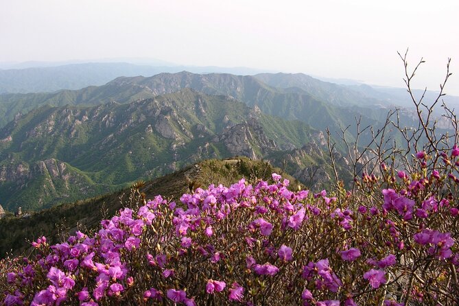 2 Days Private Tour : Mt Seorak & Naksansa Temple & Nami Island From Seoul - Pricing and Booking