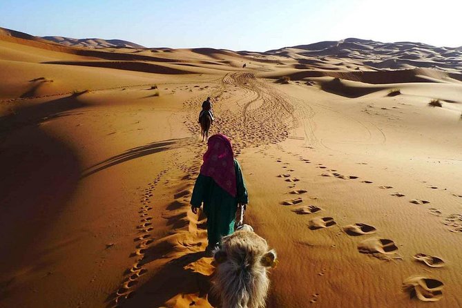 2 Days Tour From Fes To Marrakech Via Merzouga Desert - Campsite Experience