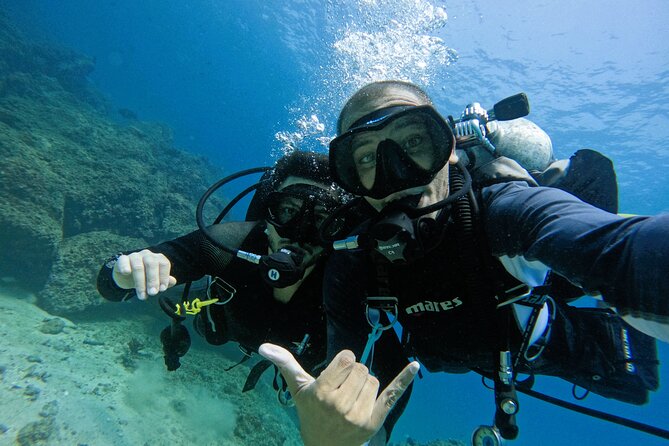 2 Dives for Certified Divers in Fujairah With Lunch & Transfer - Booking and Pricing FAQs