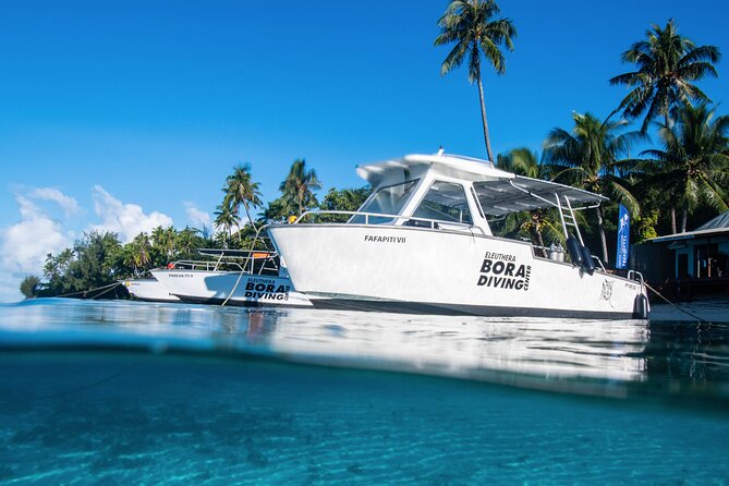 2 Dives in the Morning for Certified Divers in Bora Bora - Diving Challenges and Adaptations
