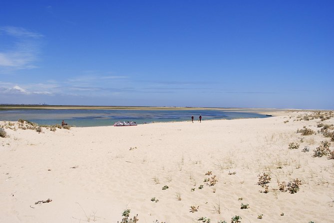 2-Hour Bird Watching Guided Boat Trip in Ria Formosa From Faro Algarve - Directions