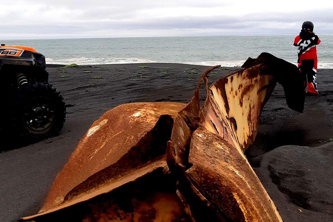 2-Hour Black Sand Beach Buggy Tour From Hella - Booking and Contact Information