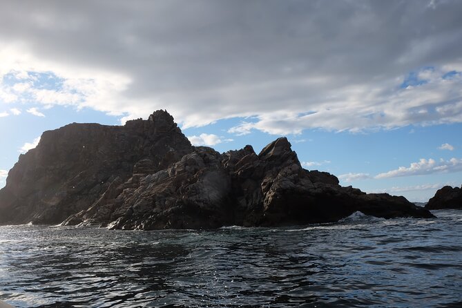 2 Hour Boat Tour in Twillingate - Tour Duration