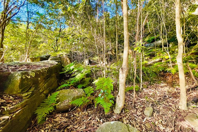 2-Hour Guided Walking Tour in Sydney Harbour National Park - Last Words