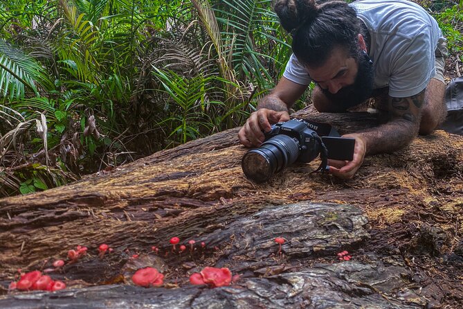 2-Hour Mushroom Photography Activity in Cairns Botanic Gardens - Expert Guide and Equipment