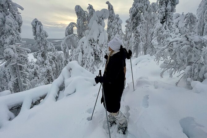 2-Hour Snowshoeing Experience in Levi - Last Words