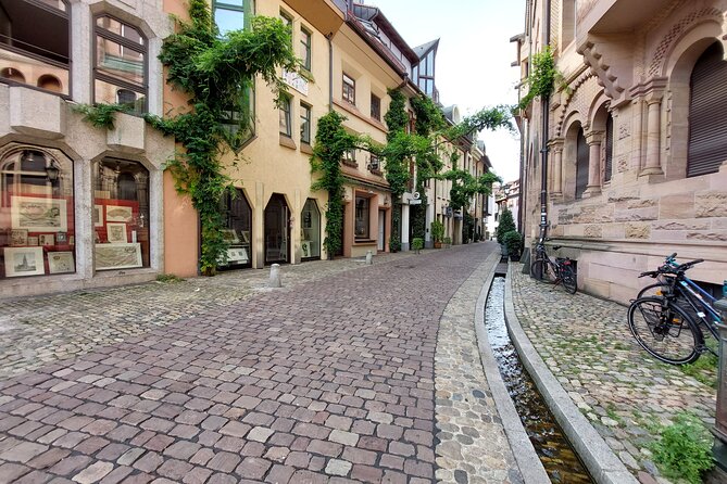 2 Hours Private Guided Walking Tour of Freiburg - Logistics and Pickup Instructions