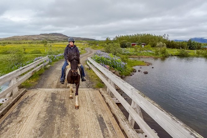 2 Hours Private Horse Riding to Lake Hafravatn, Reykjavík - Mos - Additional Information