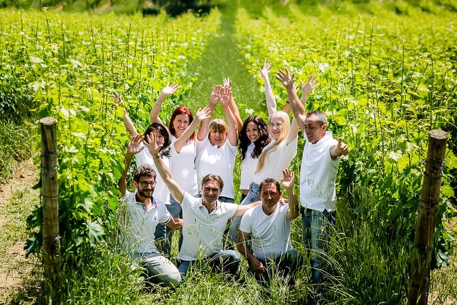 2 Hours Visit and Wine Tasting With Tastings in Val DOrcia - Transportation Details