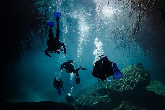 2 Tanks Cenote Diving Adventure in Tulum for Certified Divers - Underwater Experience