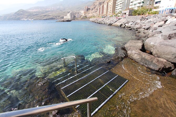 24h Snorkel Rental Equipment, Discover Tenerife on Your Own! - What to Expect During the Experience