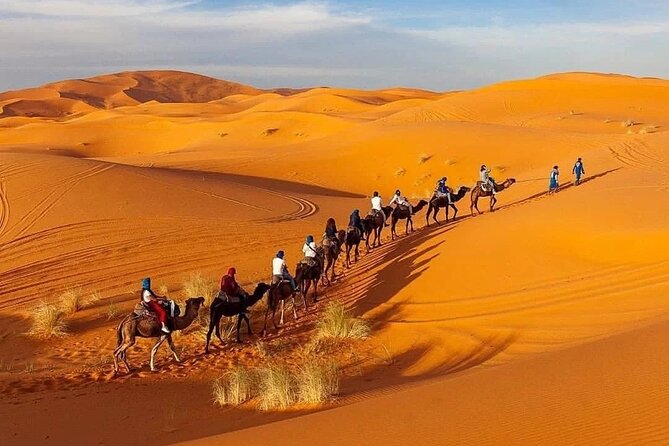 3 Day - 2 Night Desert Tour From Marrakech by Airplane / Flying - Last Words