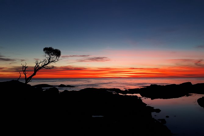 3-Day Bay of Fires Photography Workshop From Hobart - Instructor Background